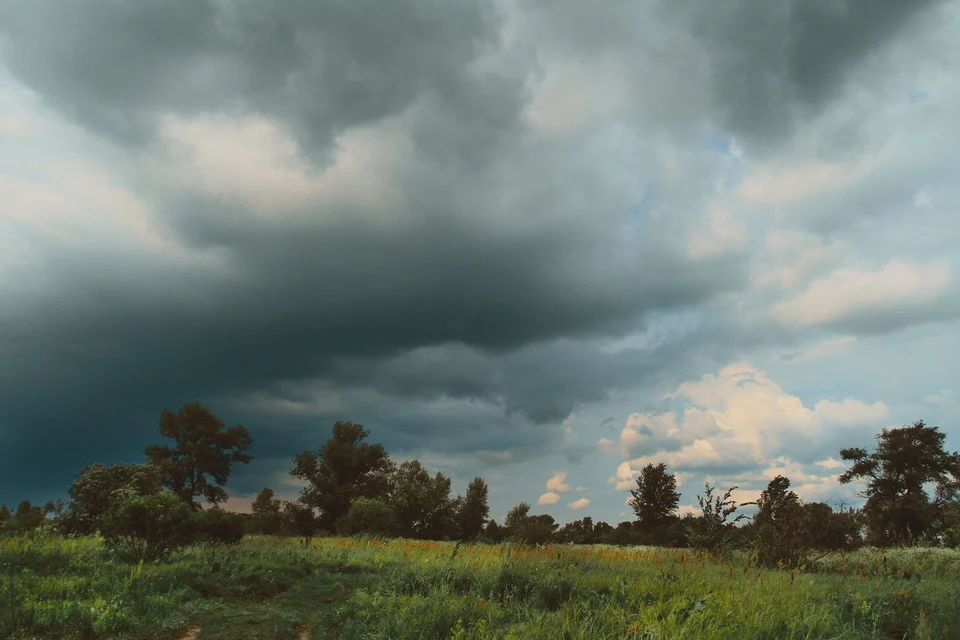 Dark storm clouds approaching a green landscape